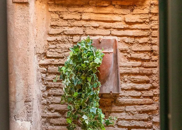 Loft Via Della Scala With Terrace Roma